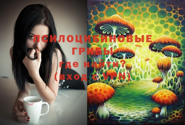 мет Балахна